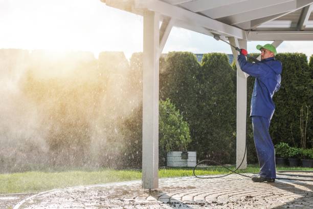 Best Vinyl Siding Pressure Washing in Tioga Terrace, NY